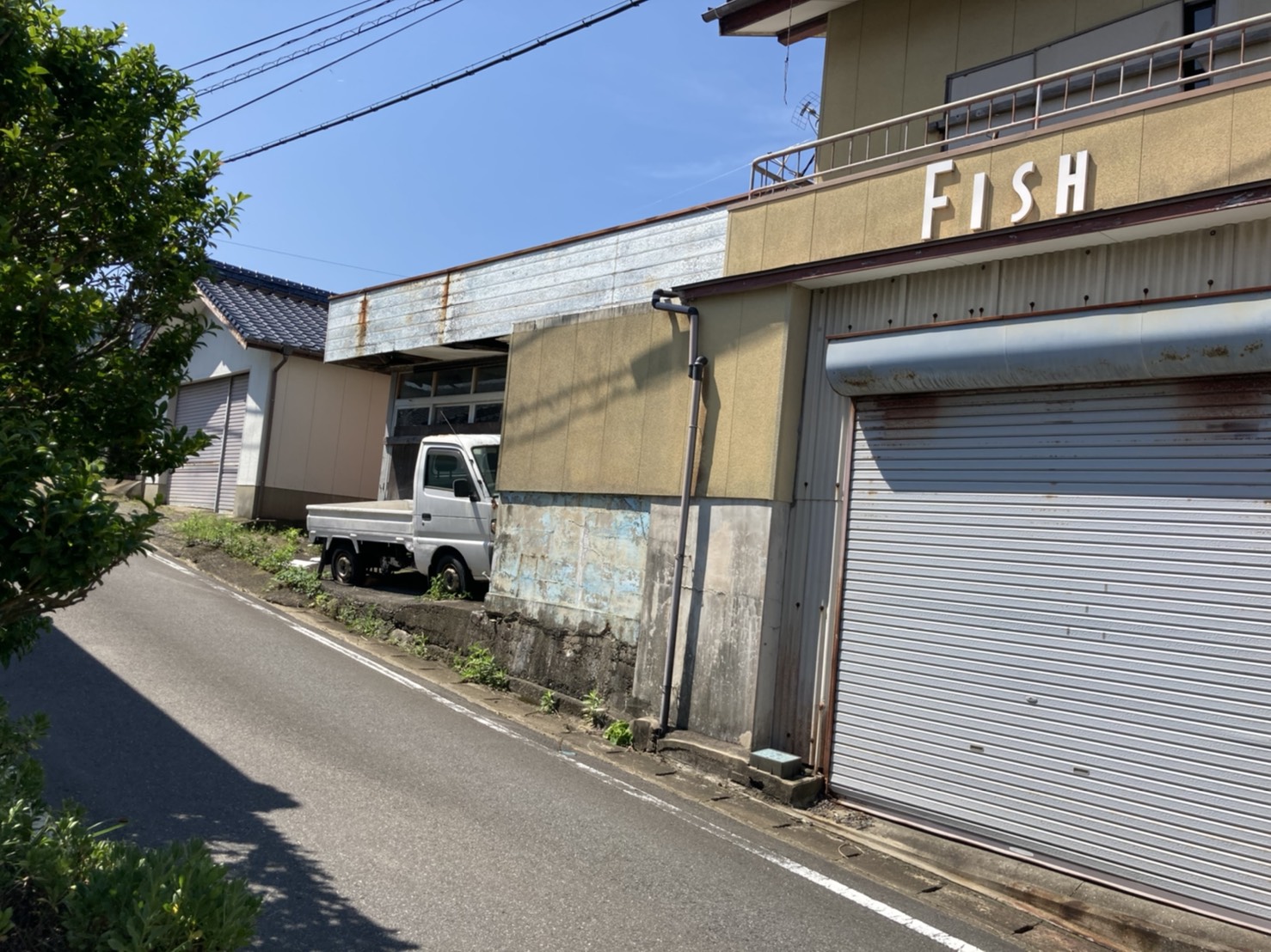 釣り好きな貴方に🎶