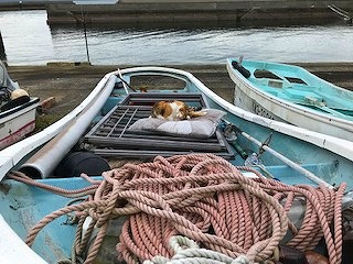 湯島上陸の巻～その３～