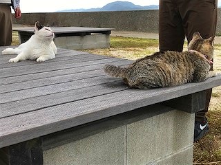 湯島上陸の巻～その３～